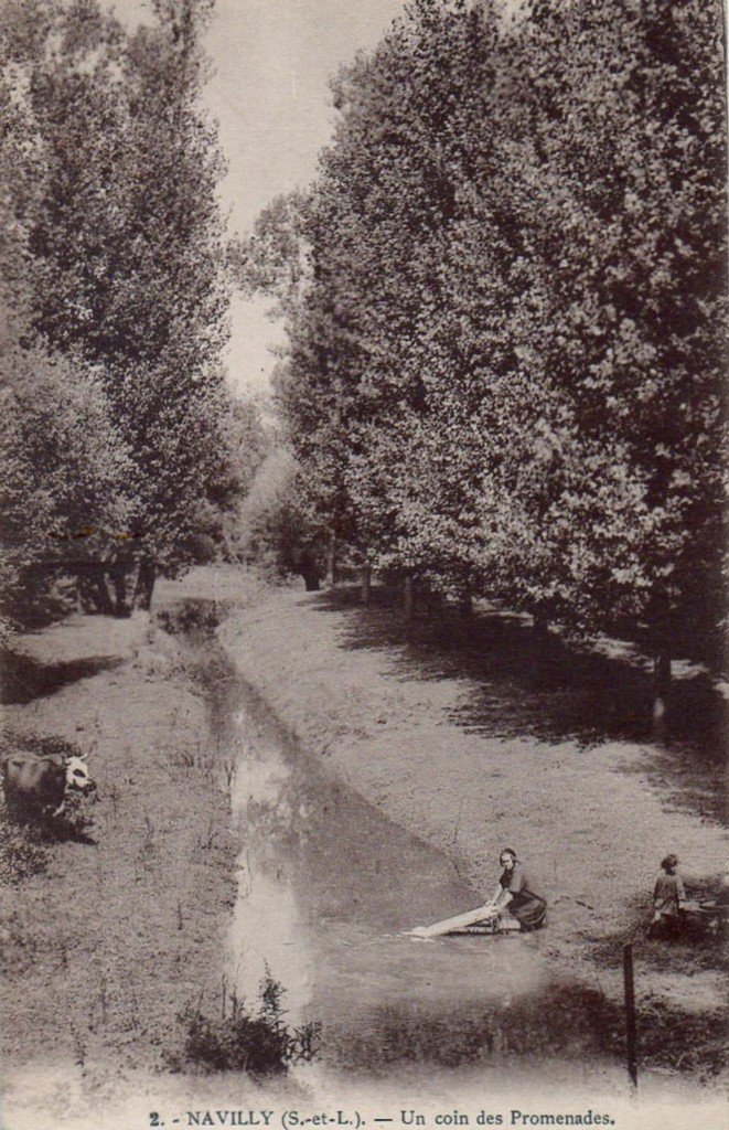 Navilly 71.jpg