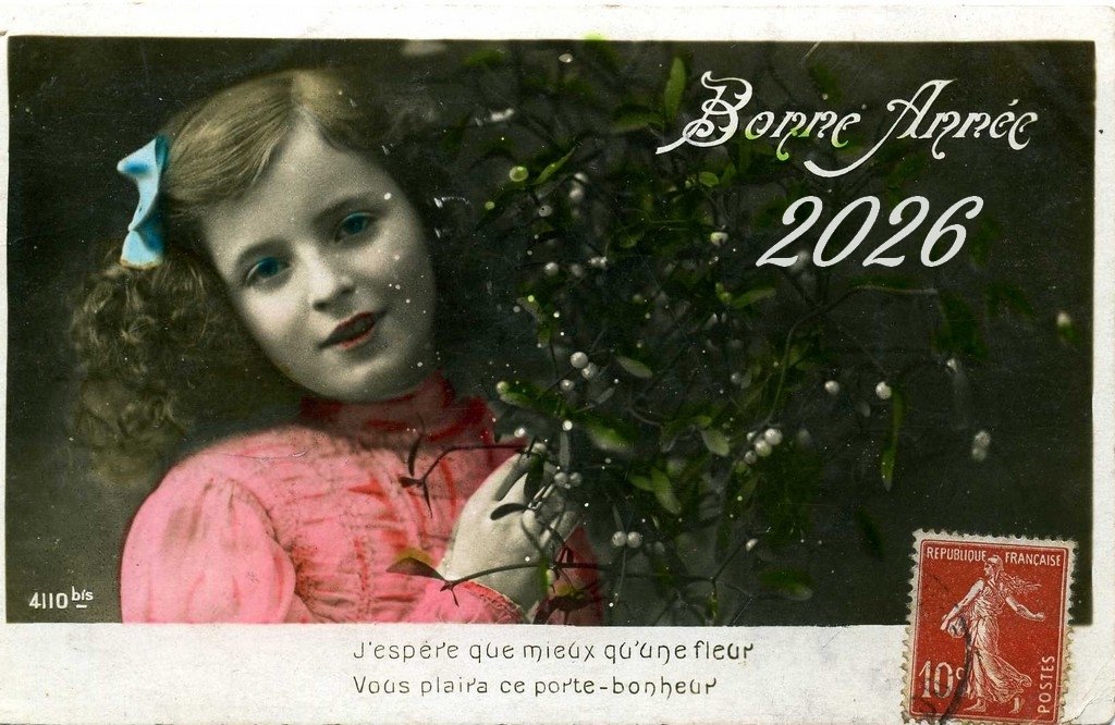 Bonne année 1.jpg