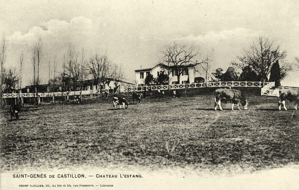 A Bovins Saint-Genès 33.jpg