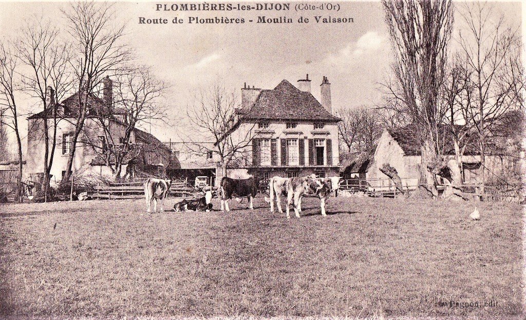 A Bovin Loupgris 02-01-26.jpg