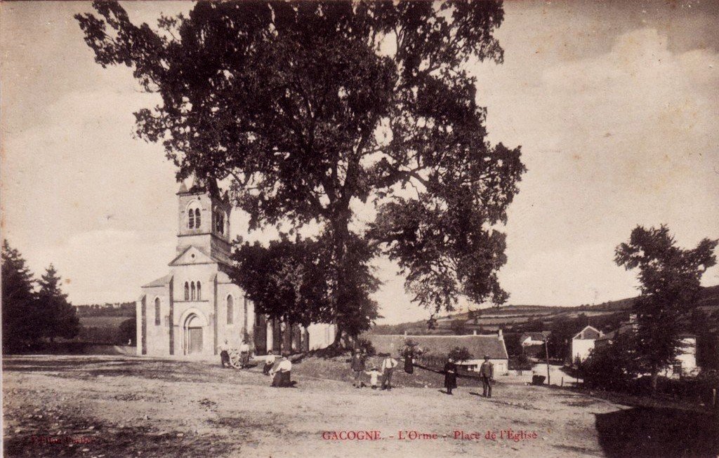 A Arbre Loupgris 5-01-2026.jpg