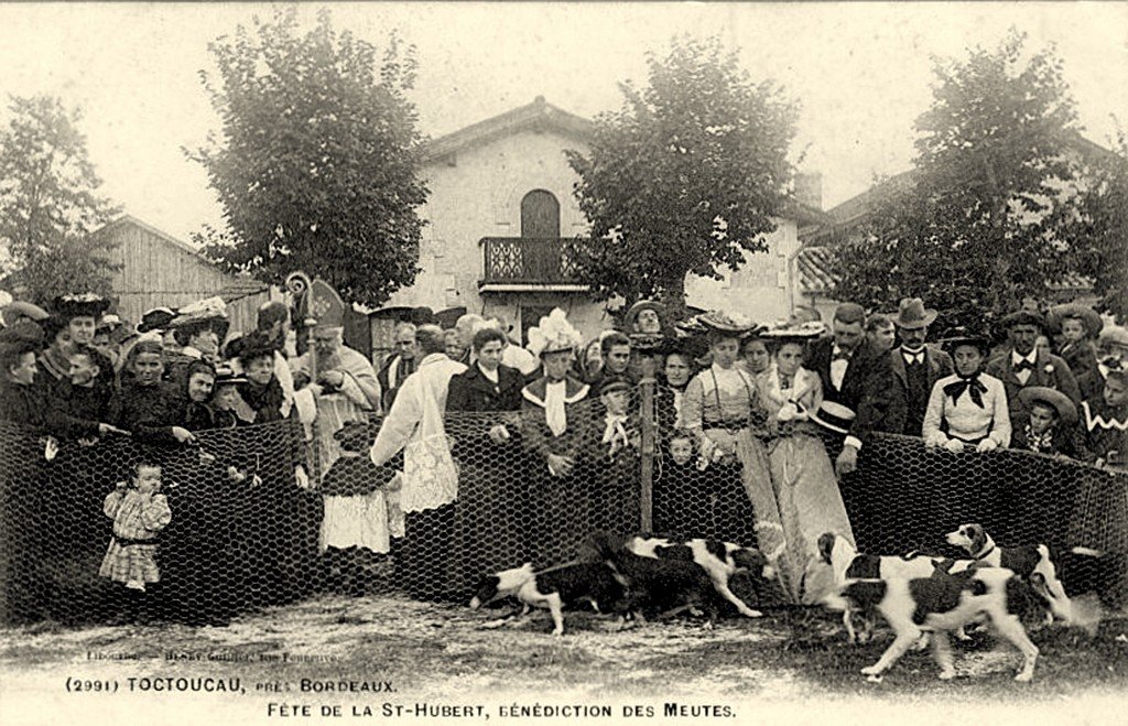 A Chiens Pessac-Toctoucau 2991.jpg