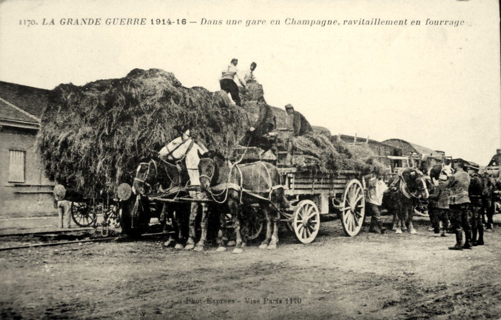 A Guerre Attelage 51.jpg