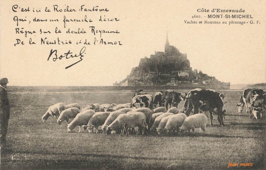 Mont-Saint-Michel – Vaches et Moutons au Pâturage.jpg