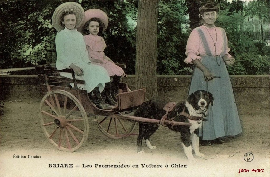 Briare - Les Promenades en voiture à chien.jpg