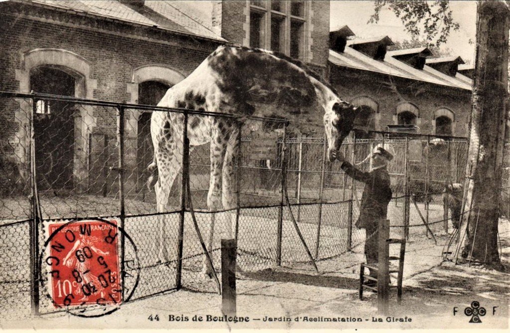 Paris - J. d'Acc (44).jpg