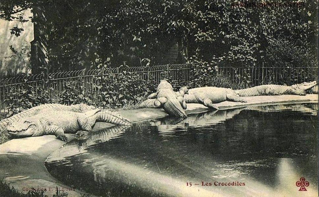 Paris J. des P 15.jpg