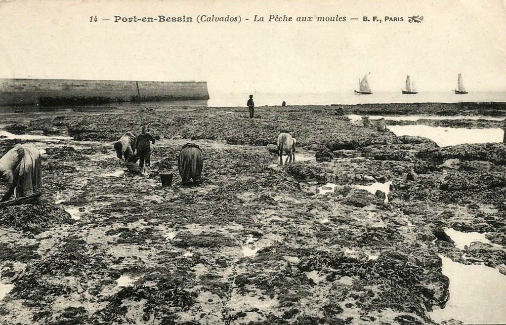 Pécheurs Port en Bessin 14.jpg
