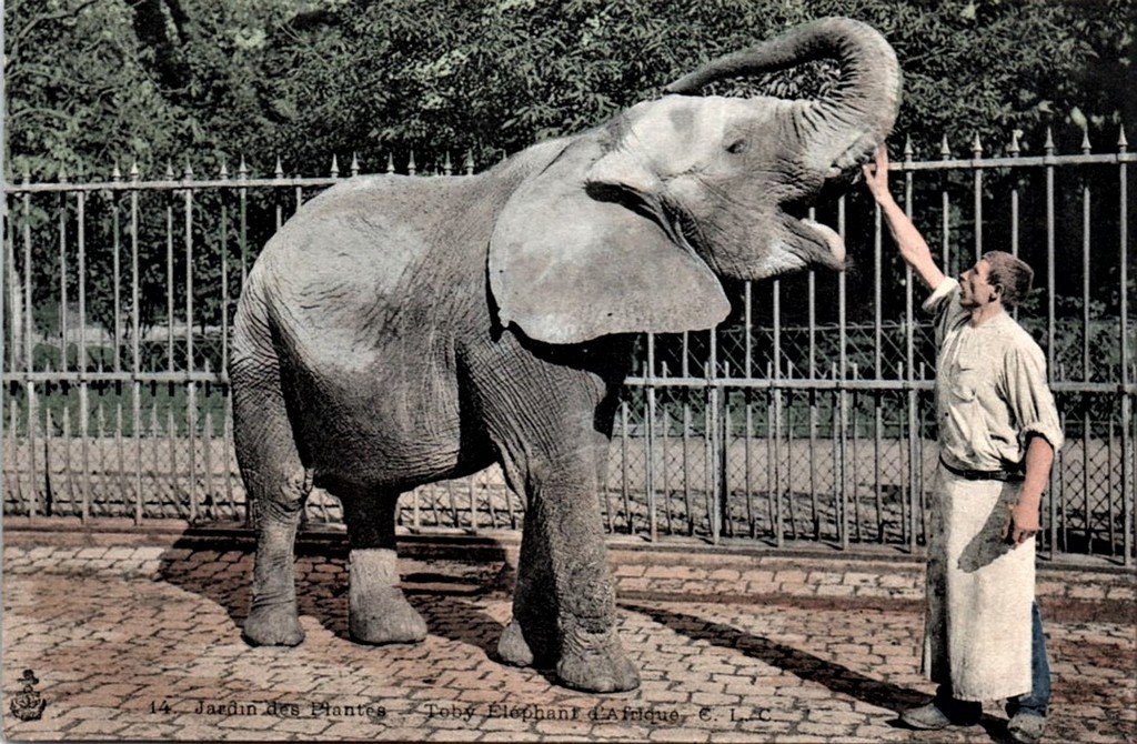 Paris - J. des P (14).jpg