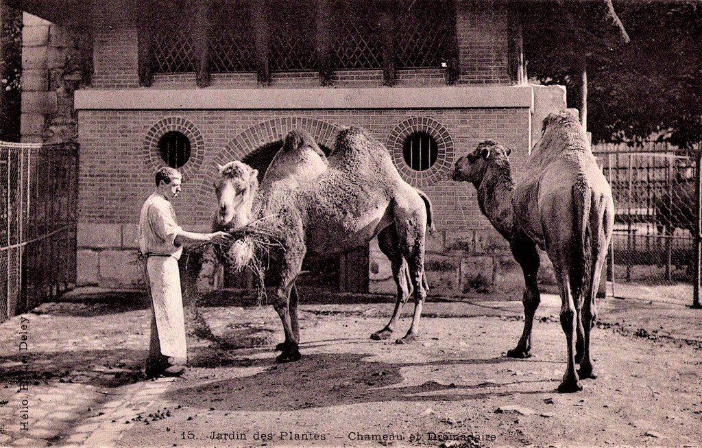 Paris - J. des P (15).jpg