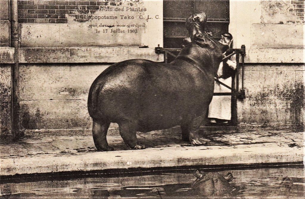 Paris - J. des P (17).jpg