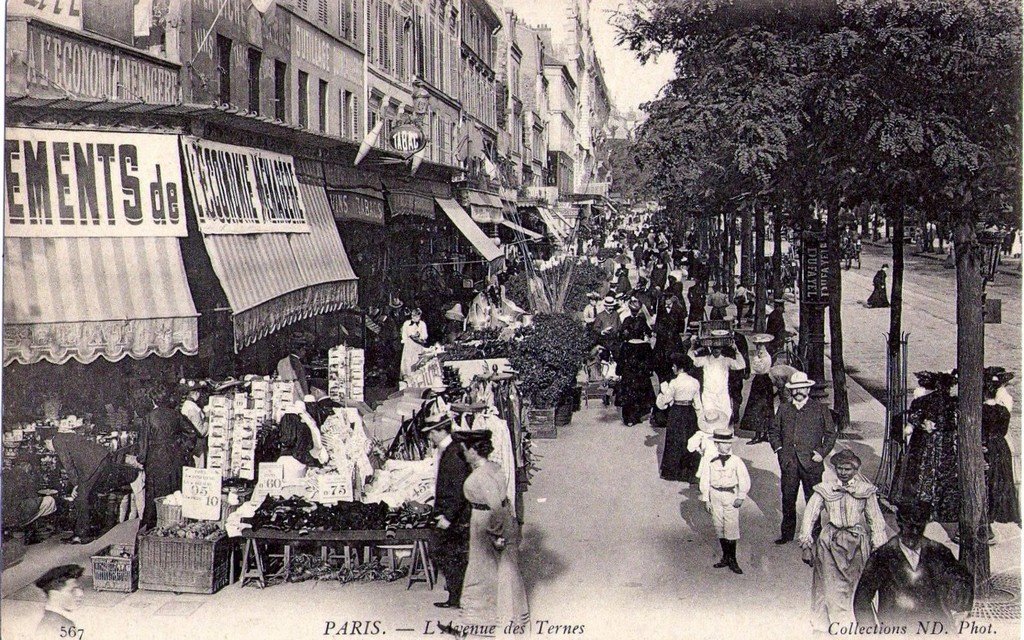 Paris Avenue des Ternes  17°.jpg