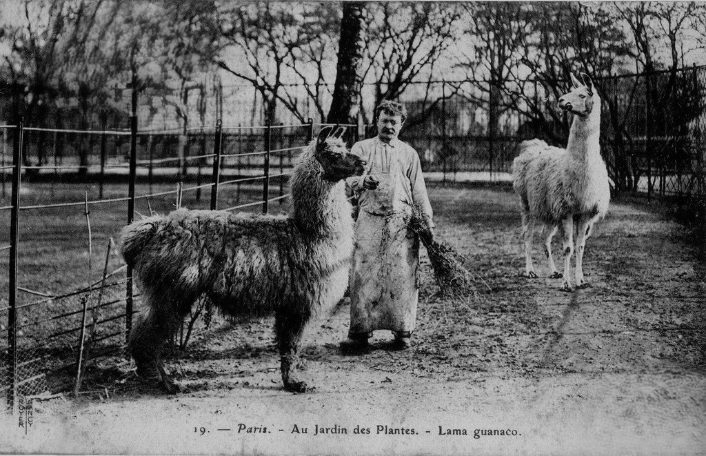 Paris - J. des P (19).jpg