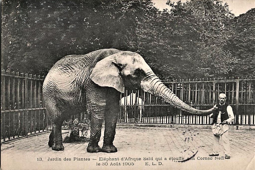 Elephant Paris - J. des P (13).jpg