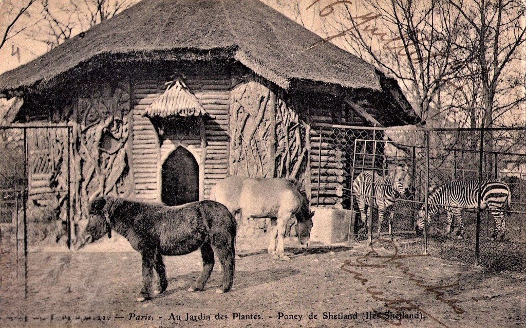 Paris - J. des P (21).jpg