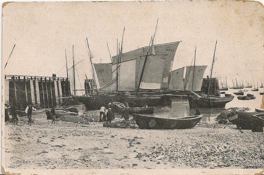 dos séparé, pas voyagée