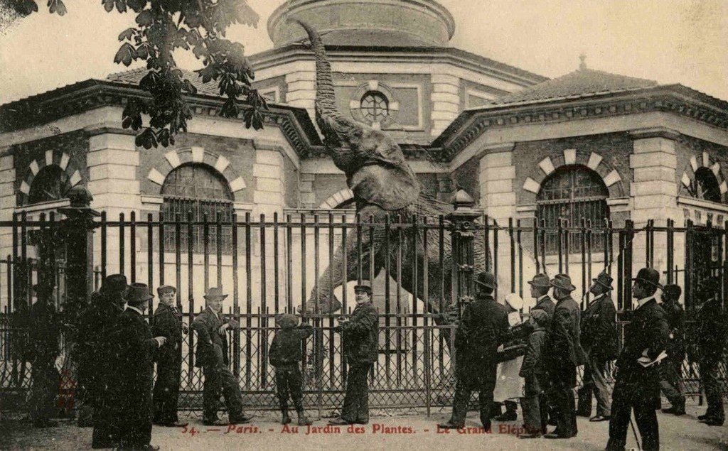 Paris - J. des P (54).jpg