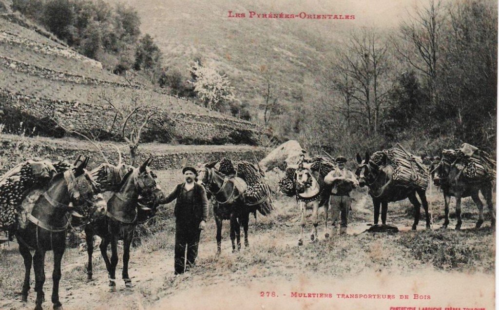 Carte N.L. Pyrénées-Orientales 278.jpg