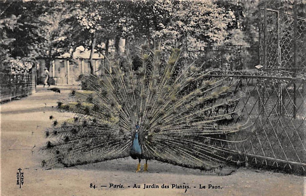 Paris - J. des P (84).jpg