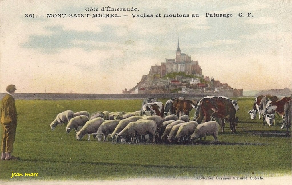 Mont-Saint-Michel - Vaches et moutons au paturage 351 GF variante.jpg