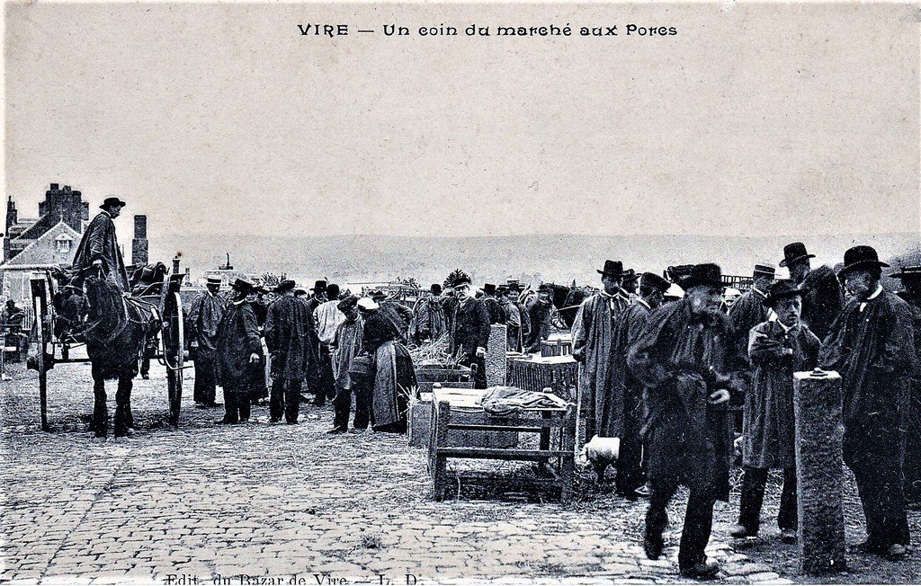 A cochon Vire 29.jpg