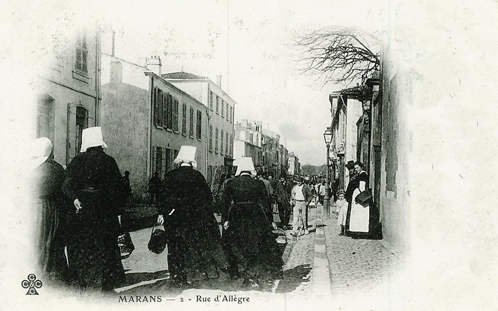 Marans 2.jpg