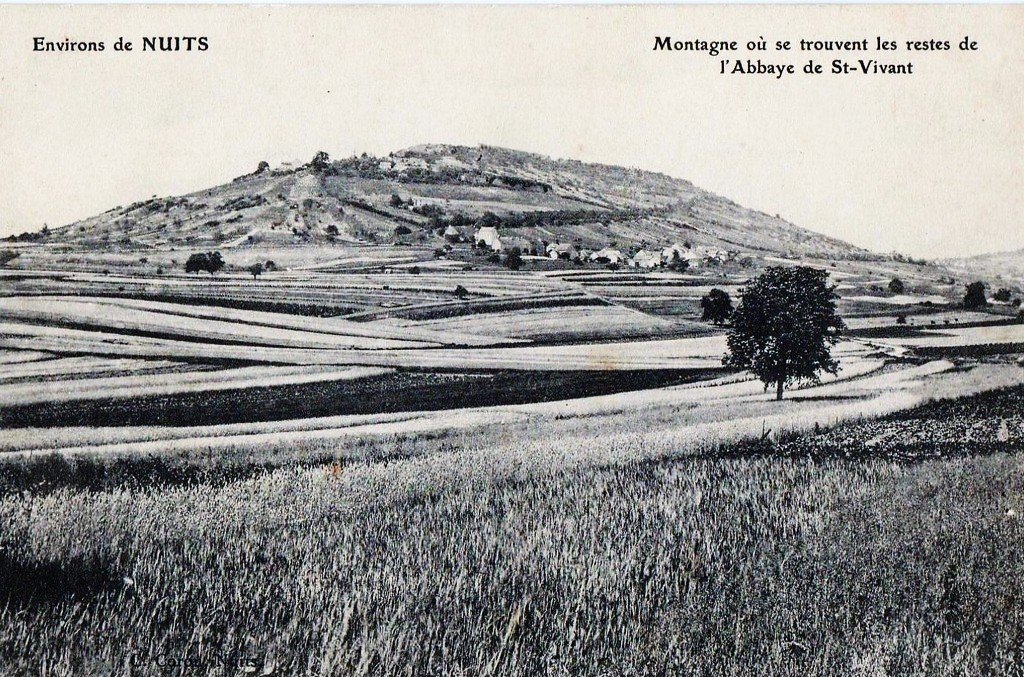 Nuits Saint-Georges 15.jpg