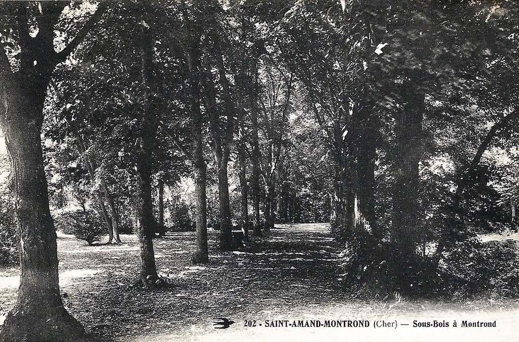 Saint Amand-Montrond 202.jpg