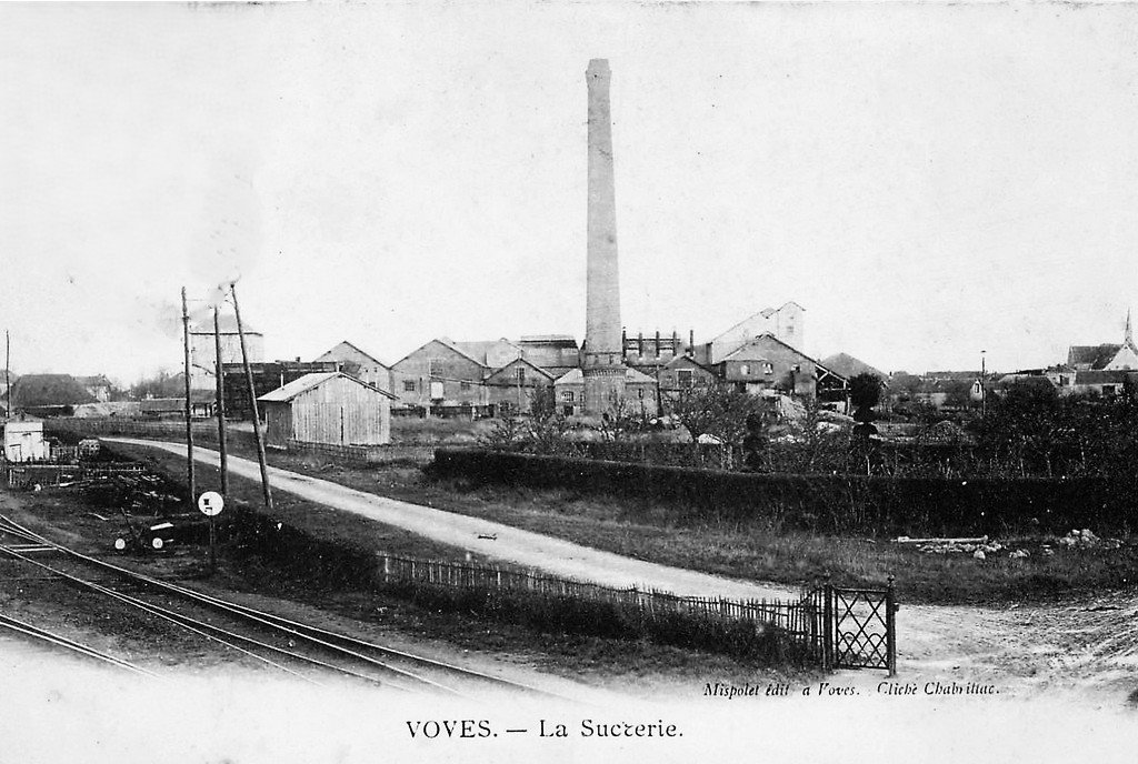 Voves 28.jpg