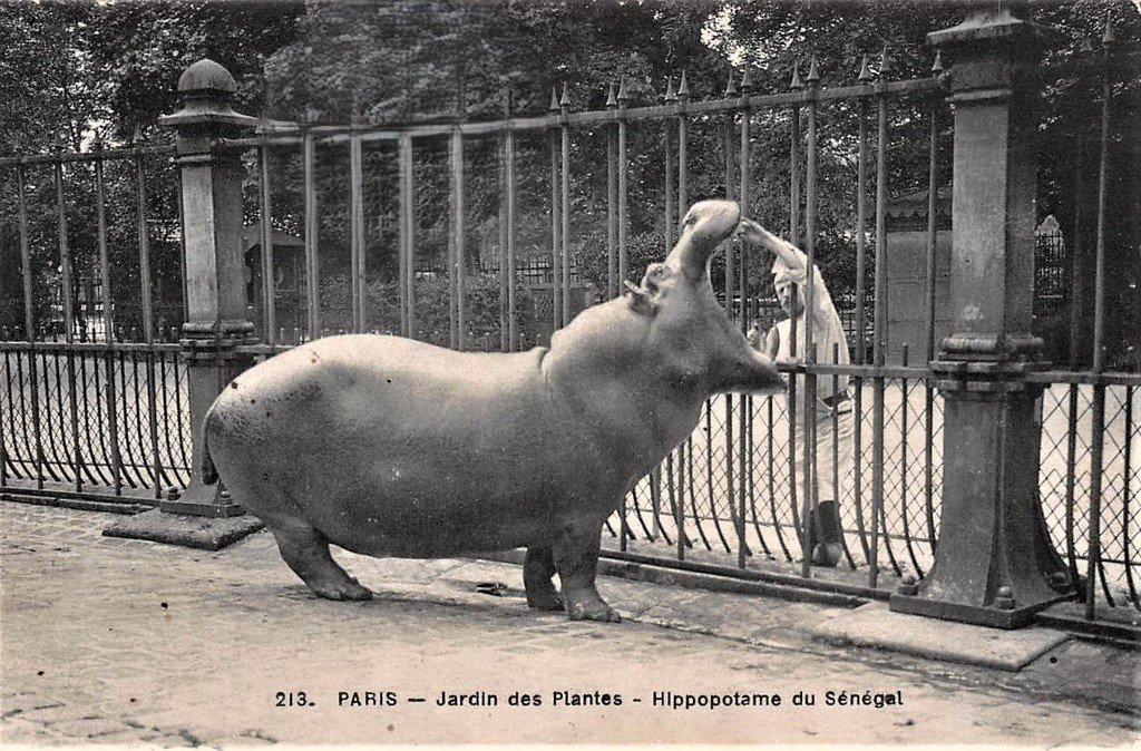 Paris - Jardin des Plantes 213.jpg