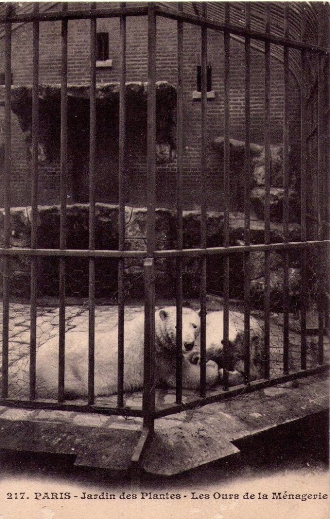 Paris - Jardin des Plantes 217.jpg