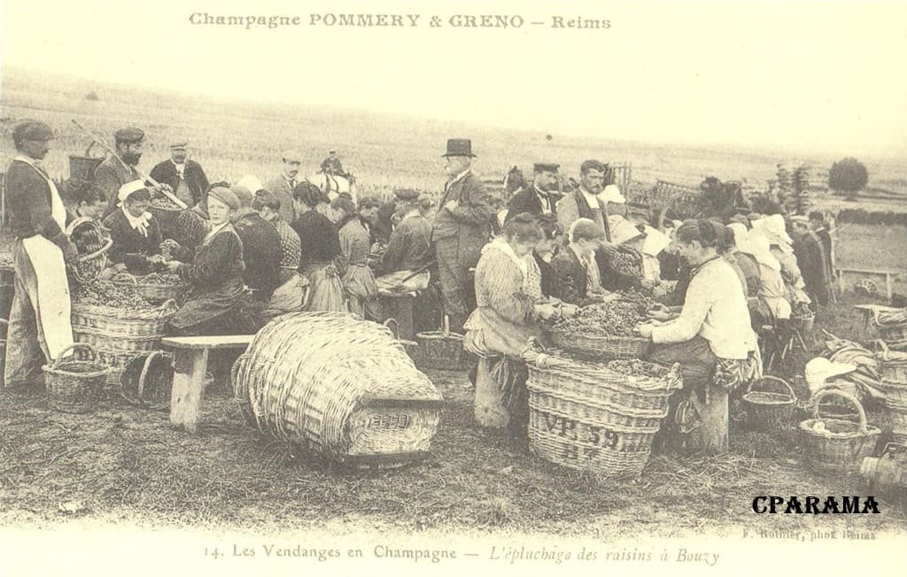 Reims champagne.jpg