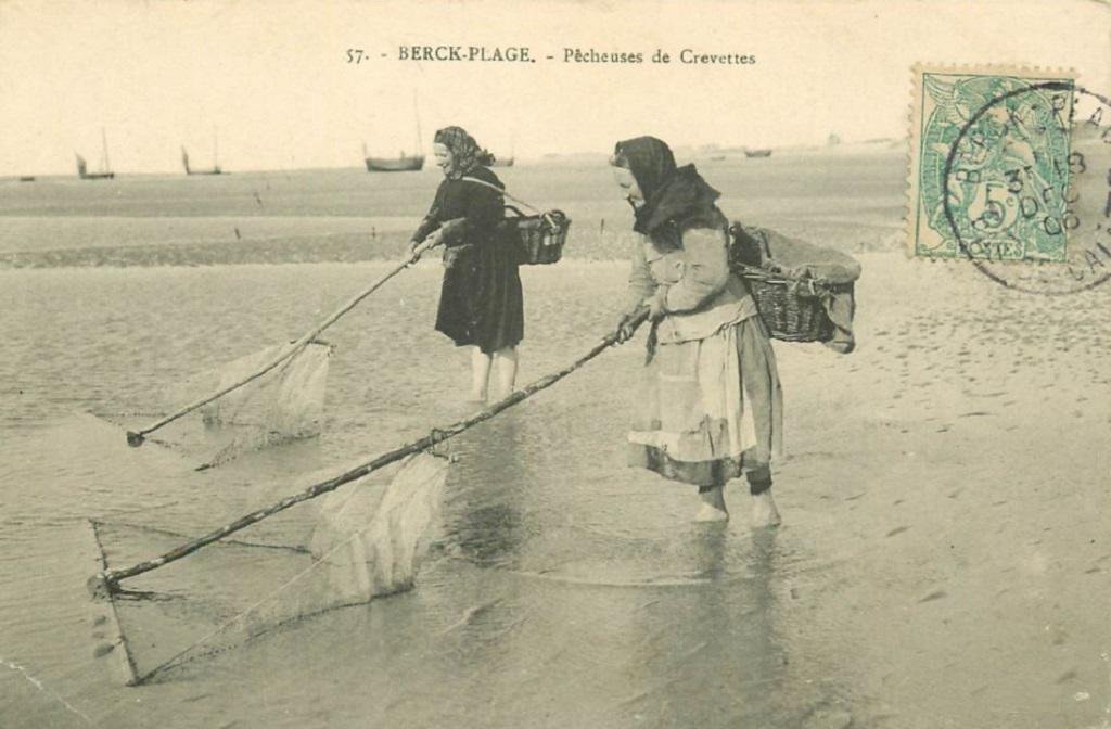 Berck pecheures crevettes.jpg