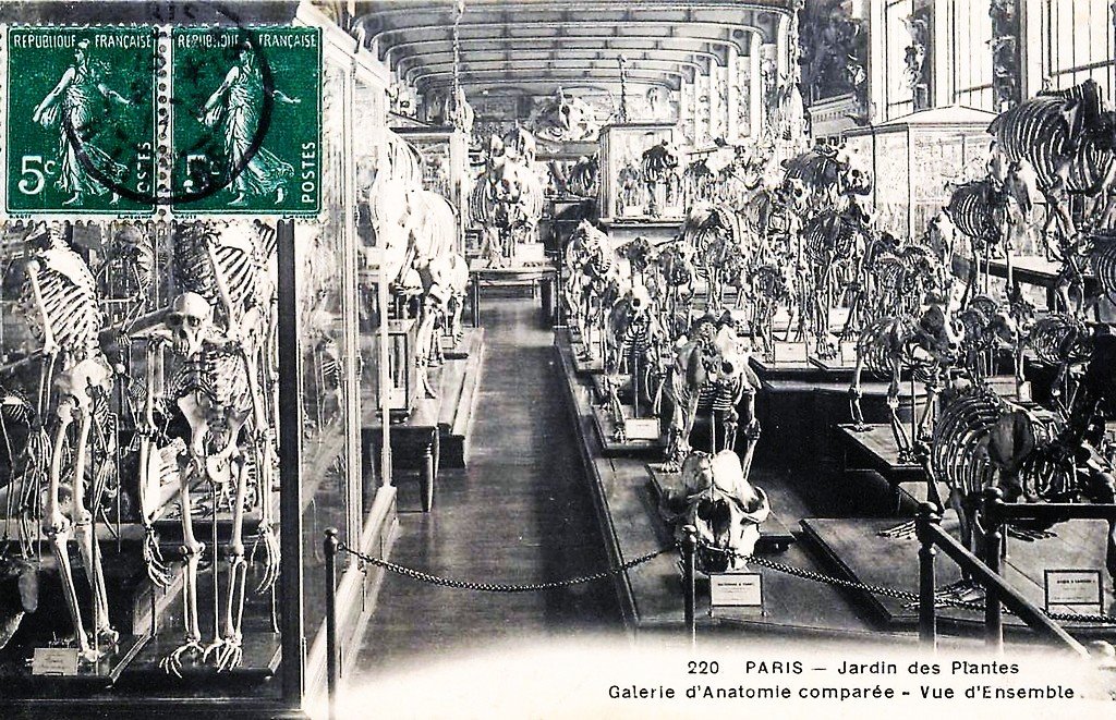 Paris - Jardin des Plantes 220.jpg