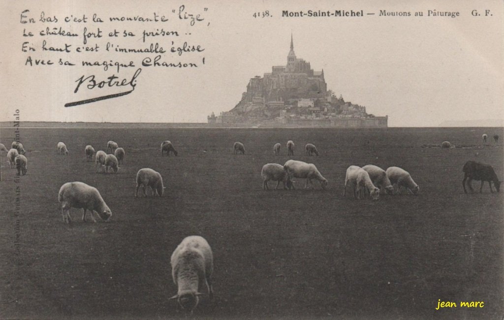 Mont-Saint-Michel – Moutons au Pâturage.jpg