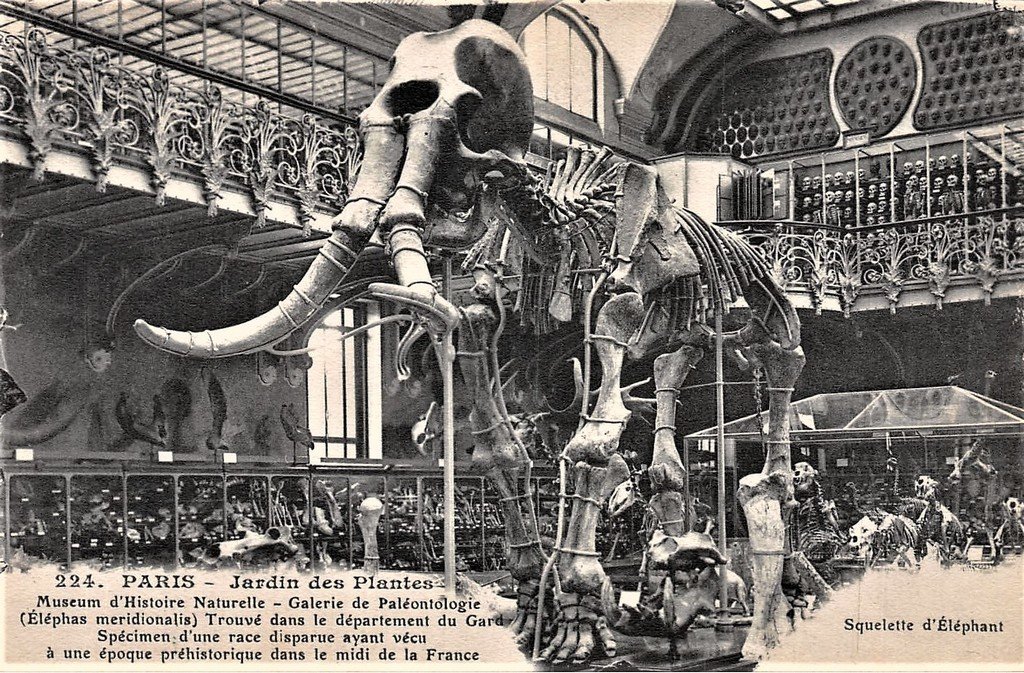 Paris - Jardin des Plantes 224.jpg