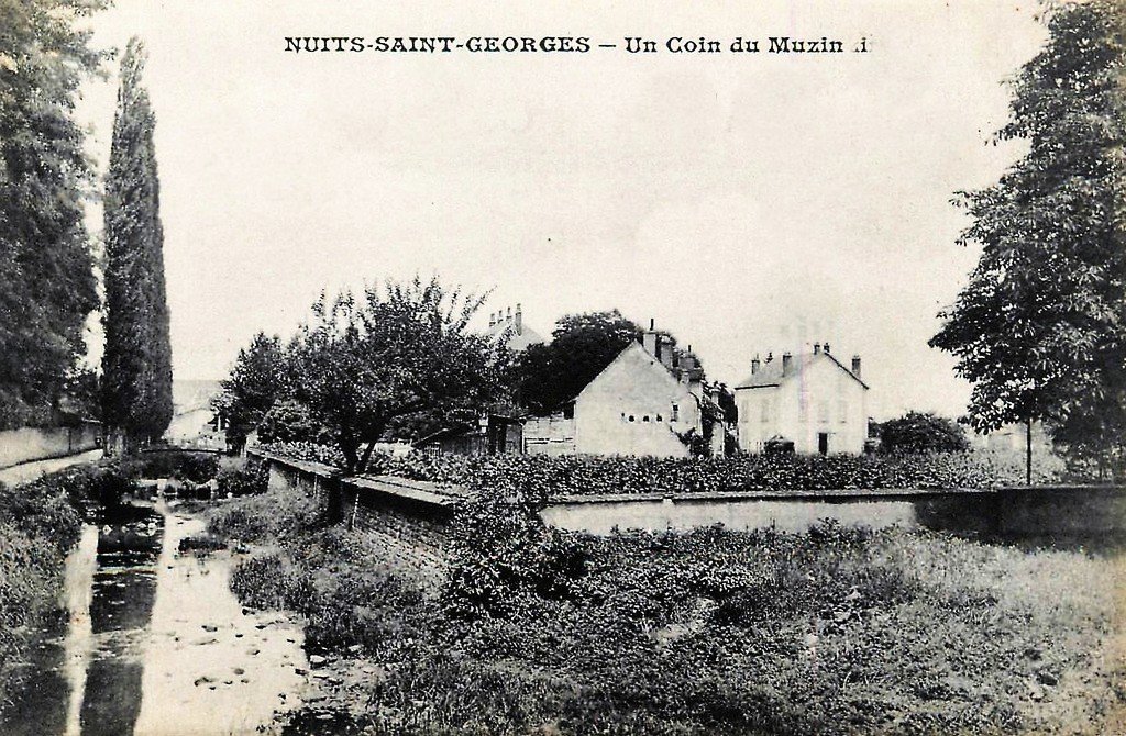 Nuits Saint-Georges 21 (2).jpg