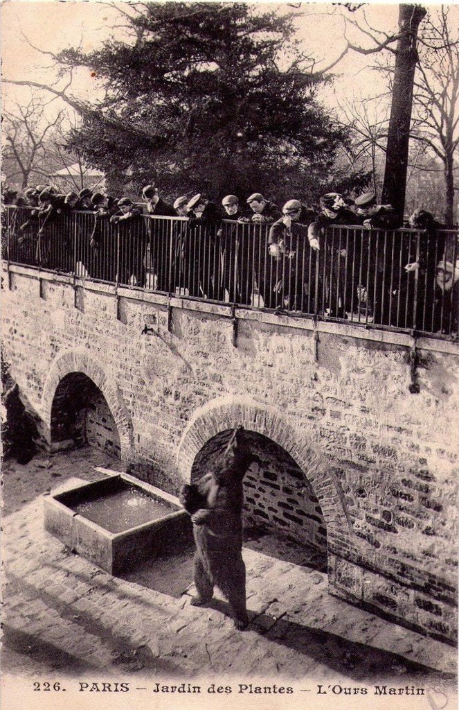 Paris - Jardin des Plantes 226.jpg