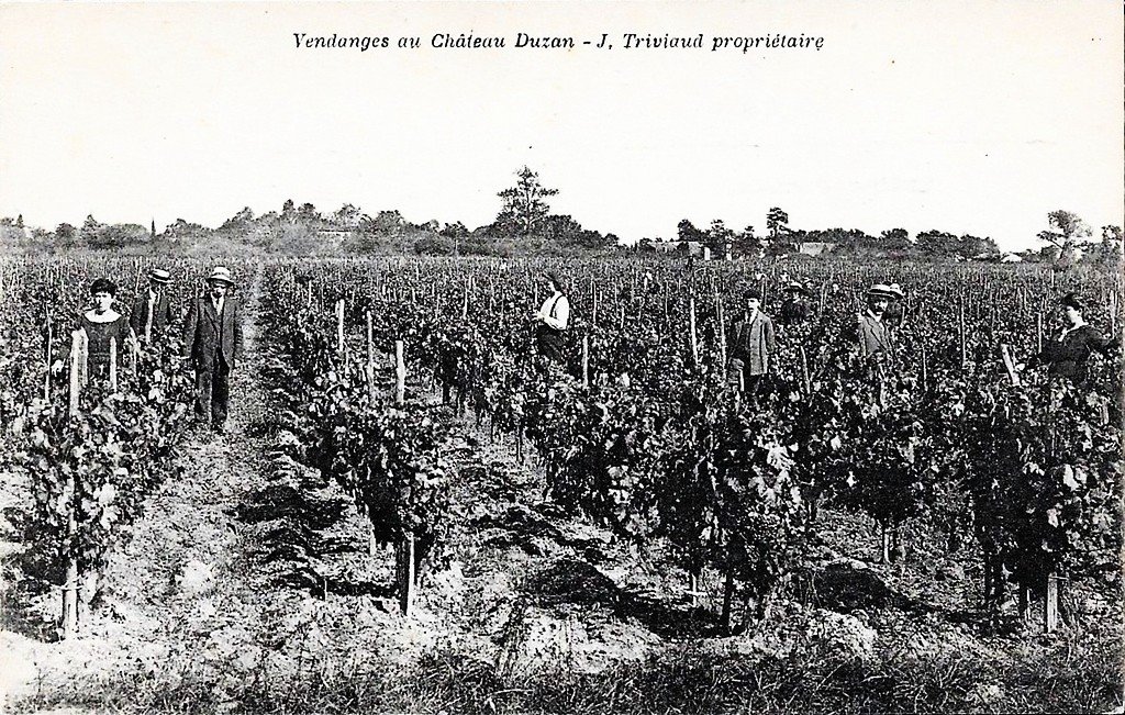 Saint-Loubès 33.jpg