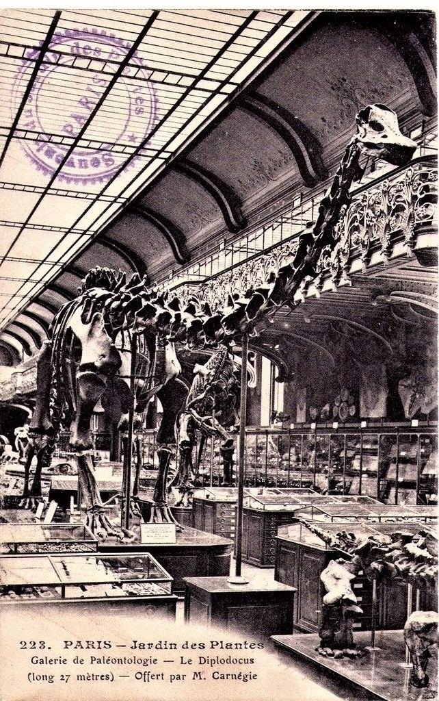 Paris - Jardin des Plantes__ 223.jpg