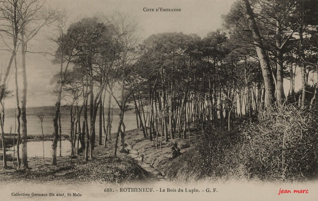 Rothéneuf - Le Bois du Lupin.jpg