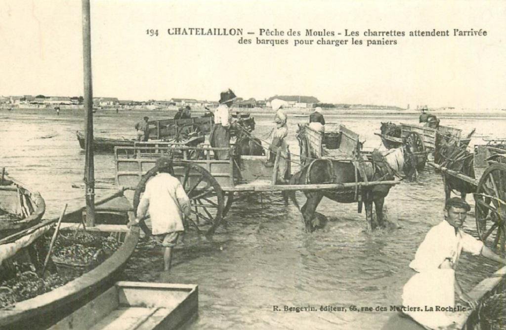 Chatelaillon Bergevin 194.jpg