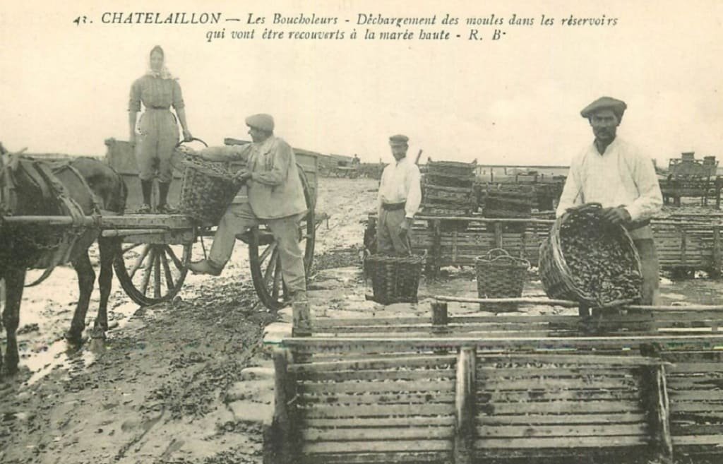 Chatelaillon RB 42.jpg