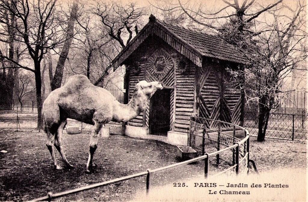 Paris - Jardin des Plantes__ 225.jpg