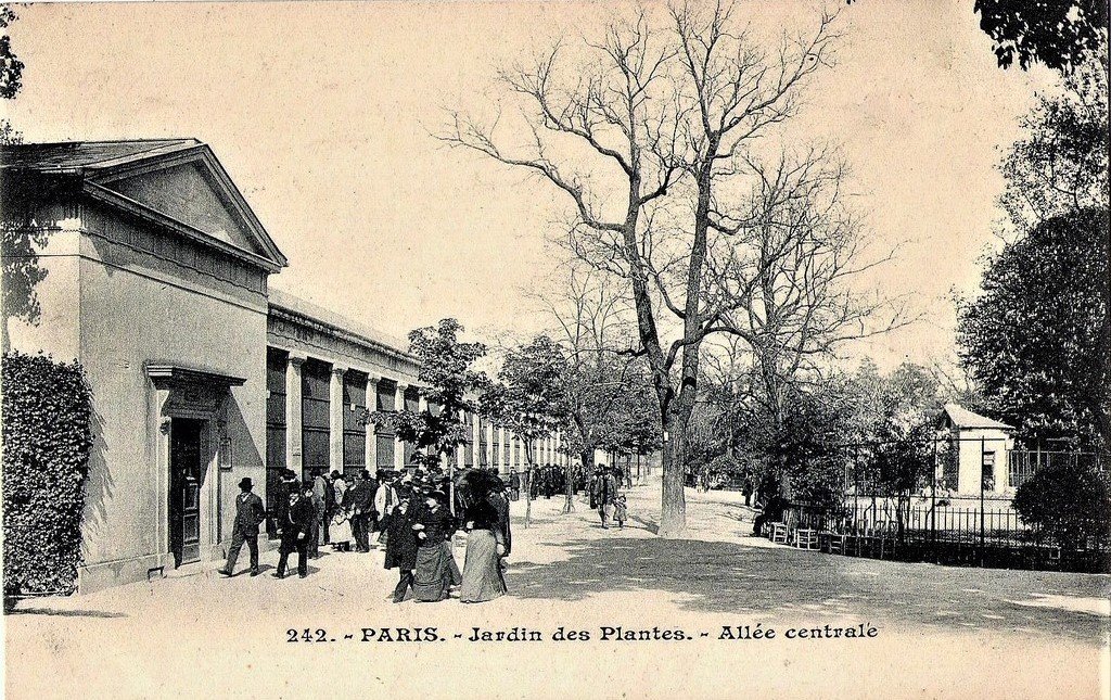 Paris JP 242 Allée.jpg