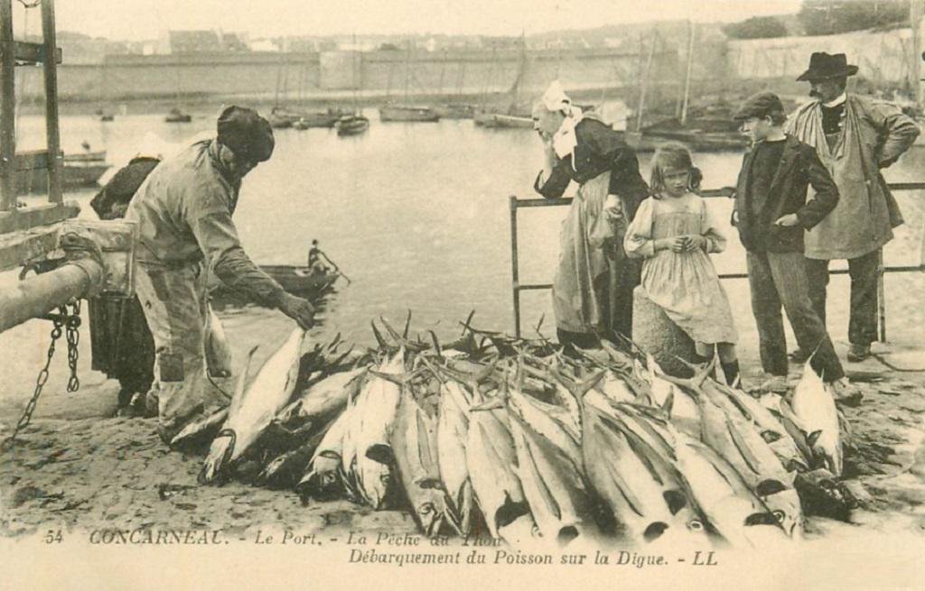 Concarneau LL 54.jpg