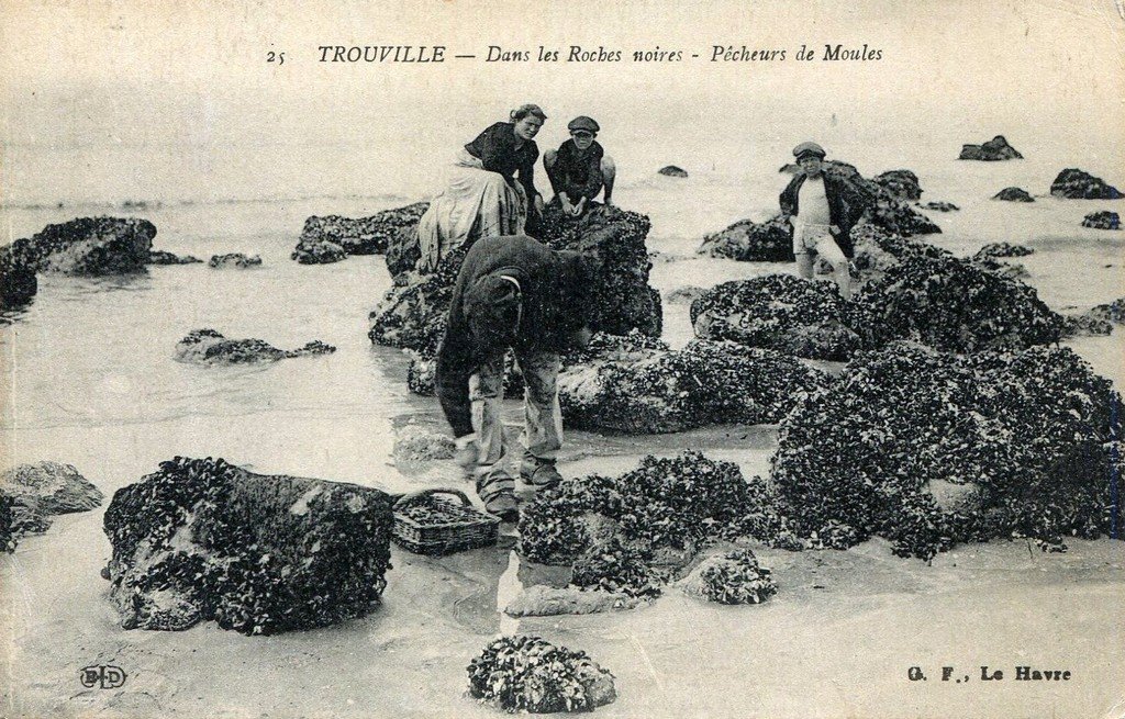 Pêche Trouville 25.jpg