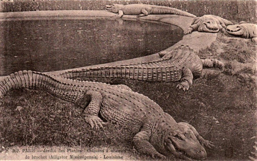 Paris J.des PL 269.jpg