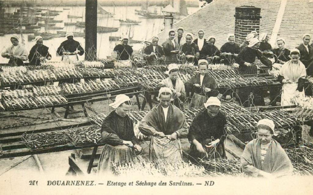 Douarnenez ND 281.jpg