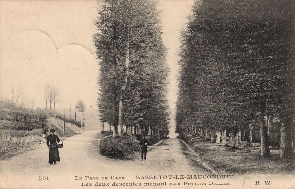 76 - SASSETOT - 501 - Pays de Caux - Les deux descentes menant aux Petites Dalles - H.W. - 10-10-23.jpg